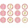 Creative Converting Baby Showers Baby's Pink Glitter Stickers Months (144/case)