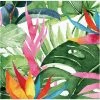 Creative Converting Floral Paradise Beverage Napkin (16/Pkg) Themed Tableware