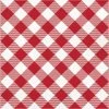 Creative Converting Classic Gingham Luncheon Napkin (16/Pkg)