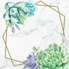 Creative Converting Themed Tableware Geometric Succulents Luncheon Napkin (16/Pkg)