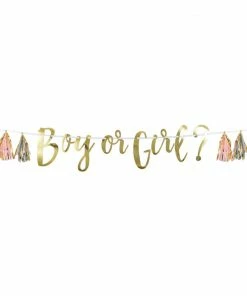 Creative Converting Pink, Blue, And Gold Boy Or Girl Tassel Banner (1/Pkg) Baby Showers