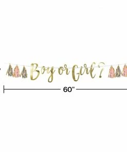 Creative Converting Pink, Blue, And Gold Boy Or Girl Tassel Banner (1/Pkg) Baby Showers