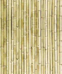 Creative Converting General Decorations Bamboo Plastic Tablecover 54