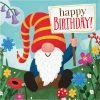 Creative Converting Party Gnomes Luncheon Napkin 16ct Kids Birthday Party Themes