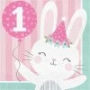Creative Converting Bunny Party 1st Birthday Napkins, 16 Ct 1st Birthday Party Themes