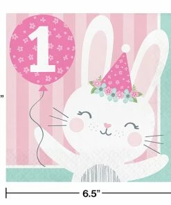 Creative Converting Bunny Party 1st Birthday Napkins, 16 Ct 1st Birthday Party Themes