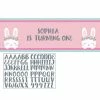 Creative Converting 1st Birthday Party Themes Birthday Bunny Giant Party Banner W/ Stck