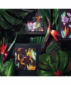 Creative Converting Bold Tropics Beverage Napkin, 3 Ply, 24 Ct Summer, BBQ And Picnic Themed Decorations