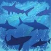 Creative Converting Kids Birthday Party Themes Shark Splash Beverage Napkin, 3 Ply, 16 Ct