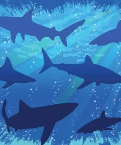 Creative Converting Kids Birthday Party Themes Shark Splash Beverage Napkin, 3 Ply, 16 Ct