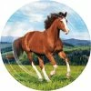 Creative Converting Horse And Pony Paper Plates, 8 Ct