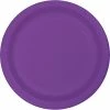 Creative Converting Amethyst Purple Plastic Banquet Plates, 20 Ct