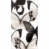 Creative Converting Entomount Butterfly Guest Towel, 3 Ply, 16 Ct