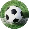 Creative Converting Soccer Paper Plates, 8 Ct