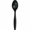 Creative Converting Black Plastic Spoons, 50 Ct Solid Color Tableware