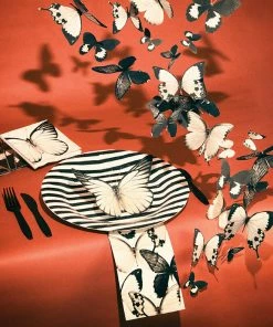 Creative Converting Themed Tableware Entomount Butterfly Beverage Napkin, 3 Ply, 24 Ct