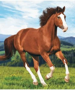 Creative Converting Kids Birthday Party Themes Horse And Pony Beverage Napkins, 16 Ct