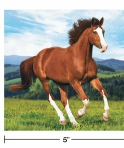 Creative Converting Kids Birthday Party Themes Horse And Pony Beverage Napkins, 16 Ct