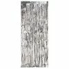 Creative Converting Foil Door Curtain Silver, 8'X3' General Decorations