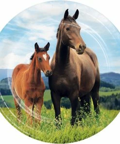 Creative Converting Kids Birthday Party Themes Horse And Pony Dessert Plates, 8 Ct