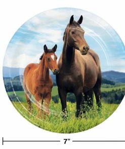 Creative Converting Kids Birthday Party Themes Horse And Pony Dessert Plates, 8 Ct