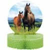 Creative Converting Kids Birthday Party Themes Horse And Pony Centerpiece