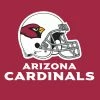 Creative Converting Arizona Cardinals Napkins, 16 Ct