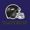Creative Converting Baltimore Ravens Napkins, 16 Ct NFL And Football Party Supplies