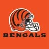 Creative Converting NFL And Football Party Supplies Cincinnati Bengals Napkins, 16 Ct
