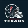 Creative Converting Houston Texans Napkins, 16 Ct NFL And Football Party Supplies