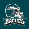Creative Converting Philadelphia Eagles Napkins, 16 Ct NFL And Football Party Supplies