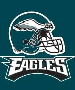 Creative Converting Philadelphia Eagles Napkins, 16 Ct NFL And Football Party Supplies