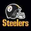 Creative Converting Pittsburgh Steelers Napkins, 16 Ct