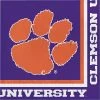 Creative Converting NCAA College Themed Party Decorations Clemson University Napkins, 20 Ct