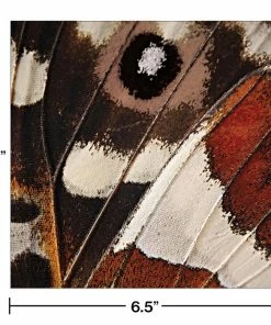 Creative Converting Entomount Butterfly Napkins, 16 Ct