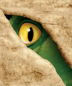 Creative Converting Kids Birthday Party Themes Dino Blast Beverage Napkin, 3 Ply, 16 Ct