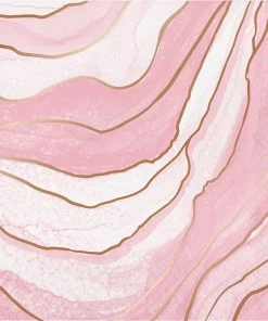 Creative Converting Rose' All Day Napkins, 16 Ct