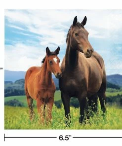Creative Converting Horse And Pony Napkins, 16 Ct Kids Birthday Party Themes