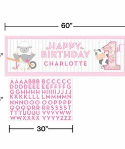 Creative Converting Farmhouse Birthday Pink Giant Party Banner W/ Stickers (6/Case) 1st Birthday Party Themes