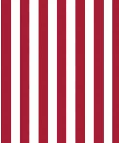 Creative Converting Indiana University Beverage Napkins, 2-Ply (240/case) NCAA College Themed Party Decorations