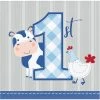 Creative Converting Farmhouse Birthday Blue Beverage Napkins (192/Case)
